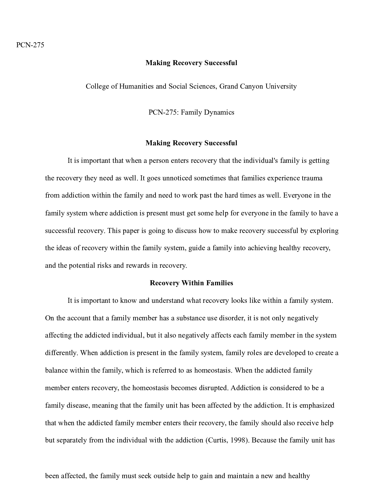 Preview image for Making Recovery Successful.docx    PCN-275  Making Recovery Successful  College of Humanit